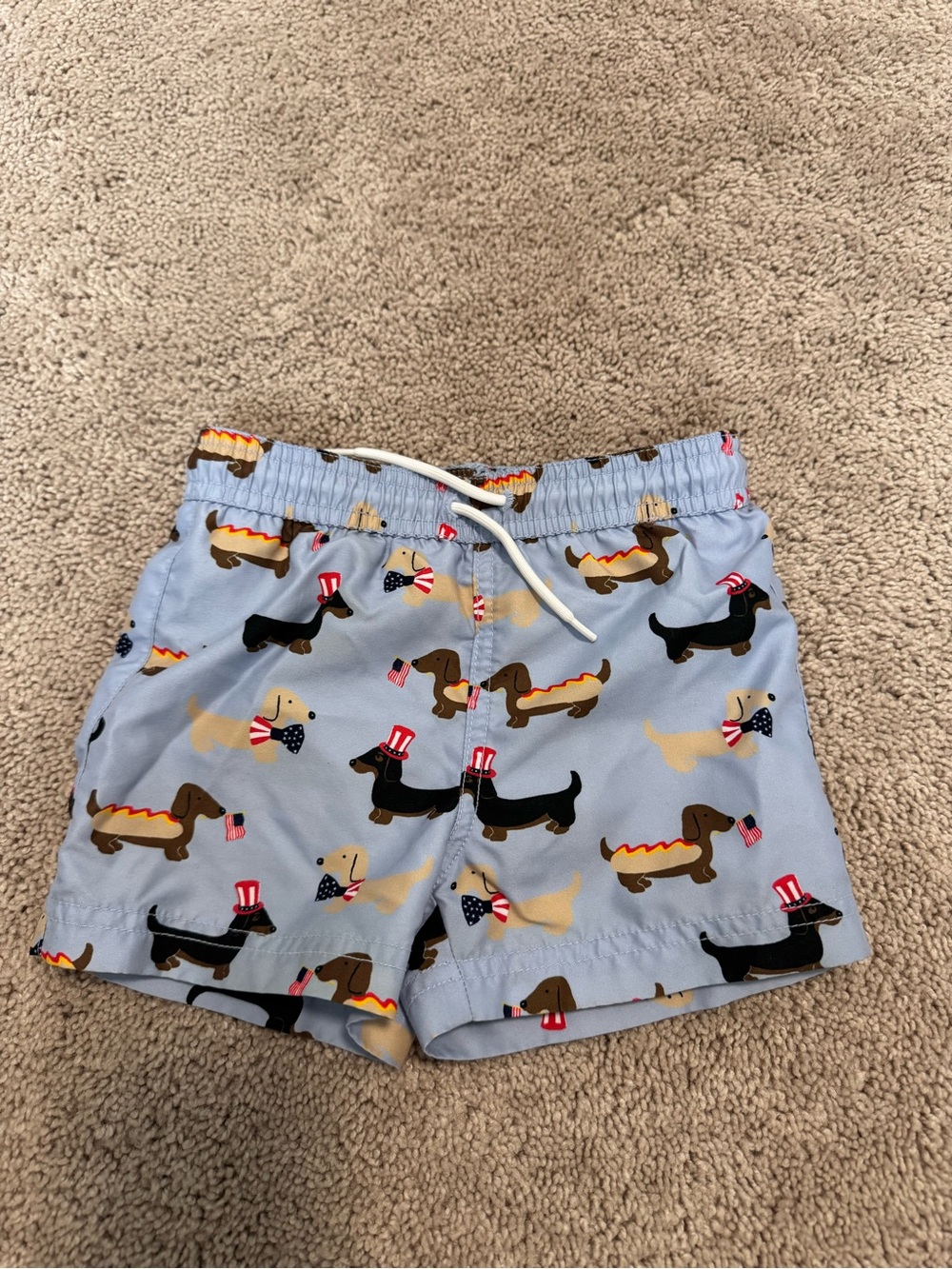 Janie and Jack 2T- Light Blue Dachshund Print Kids Swim Shorts
